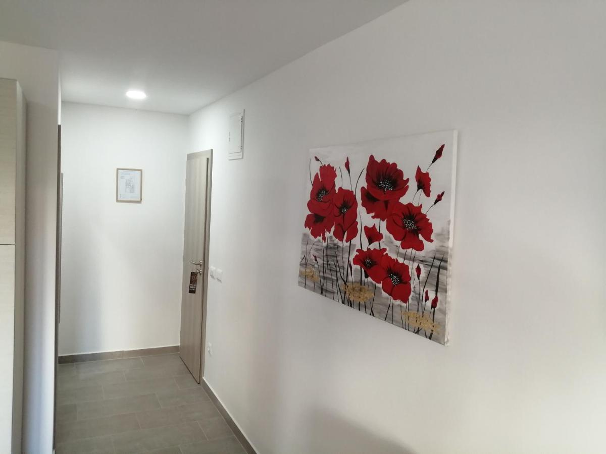 Studio Istra Rovinj Exterior foto